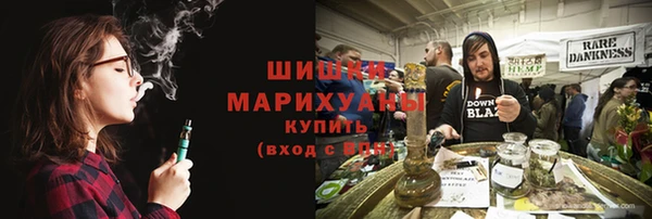 индика Волосово