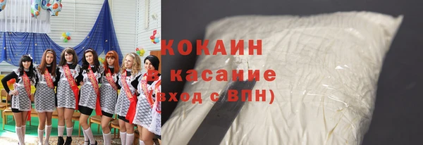 индика Волосово