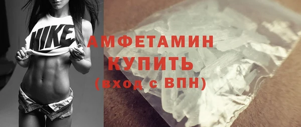 индика Волосово