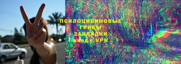 индика Волосово