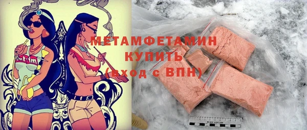 индика Волосово
