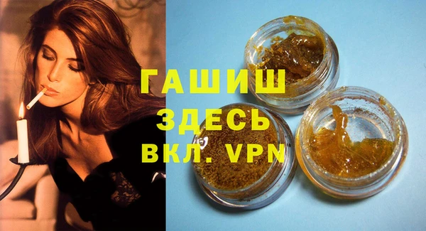 индика Волосово