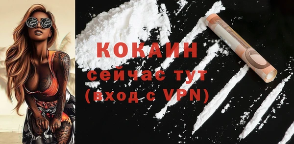 индика Волосово