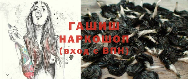индика Волосово