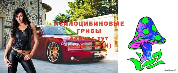 индика Волосово