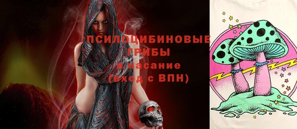индика Волосово