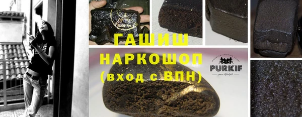 индика Волосово